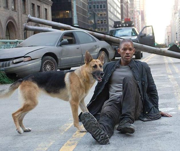 LEYENDA 2 noticia: Soy leyenda 2 se hace realidad - Web de cine fantástico, terror ciencia ficción