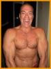 PECHOLOBOS_Van_Damme_JC
