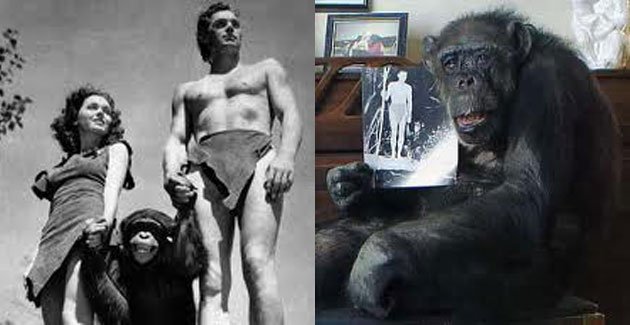 NOTICIA_Chita NOTICIA_Chita