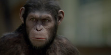 EL AMANECER DEL PLANETA DE LOS SIMIOS noticia: La secuela simiesca se retrasa