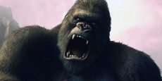 KONG: LA ISLA CALAVERA noticia: King Kong vuelve