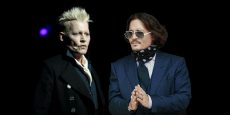 ANIMALES FANTÁSTICOS 3 noticia: Johnny Depp despedido por maltratador