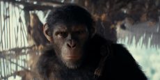 EL REINO DEL PLANETA DE LOS SIMIOS avance: Primeras fotos simiescas